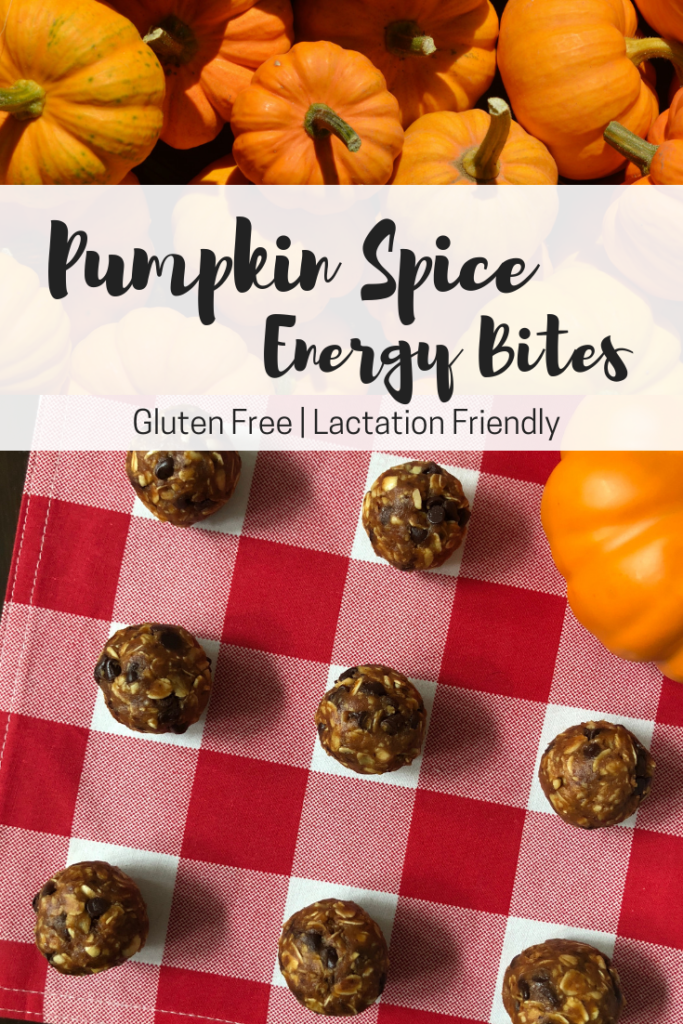 Pumpkin Spice Energy Bites Lactation recipe gluten free no bake