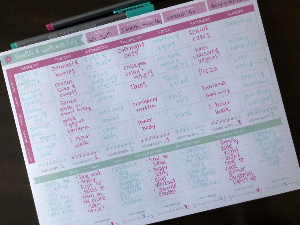 Health & wellness log by bloom planners is great for tracking workouts and creating a meal plan!