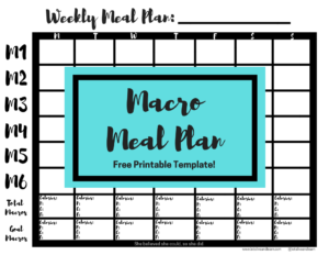 macro meal planner template excel
