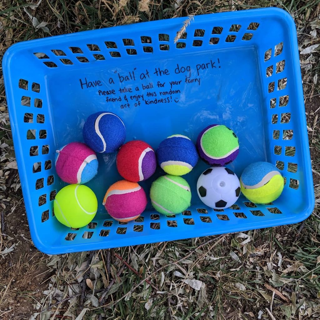 30 Random Acts of Kindness before my 30th birthday: tennis balls at the dog park #30before30 #printable #randomactsofkindnessprintable