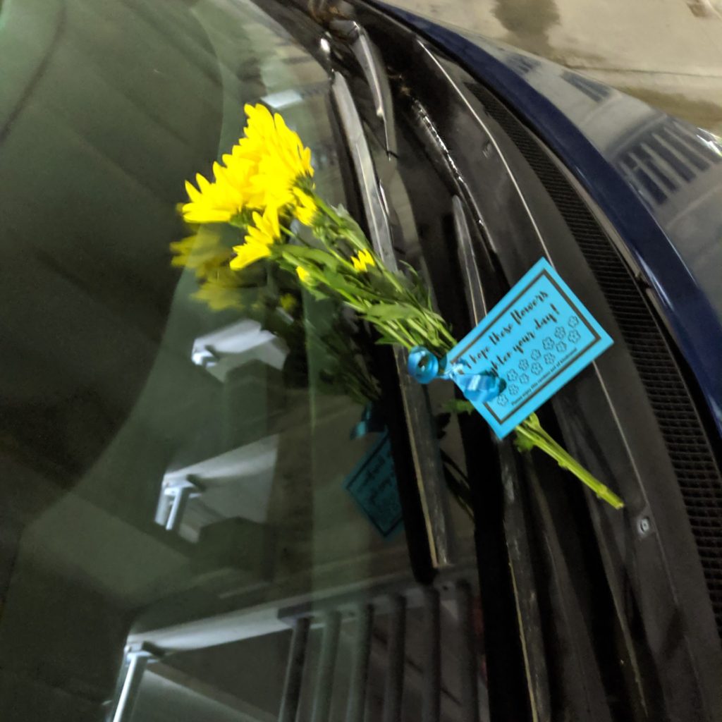 30 Random Acts of Kindness before my 30th birthday: flowers left on random cars in the parking lot #30before30 #printable #randomactsofkindnessprintable #