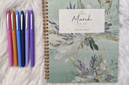 Silk & Sonder Monthly Planner Review: An amazing planner for bullet journal, planner, or self care lovers! #bulletjournal #selfcare #monthlyplanner